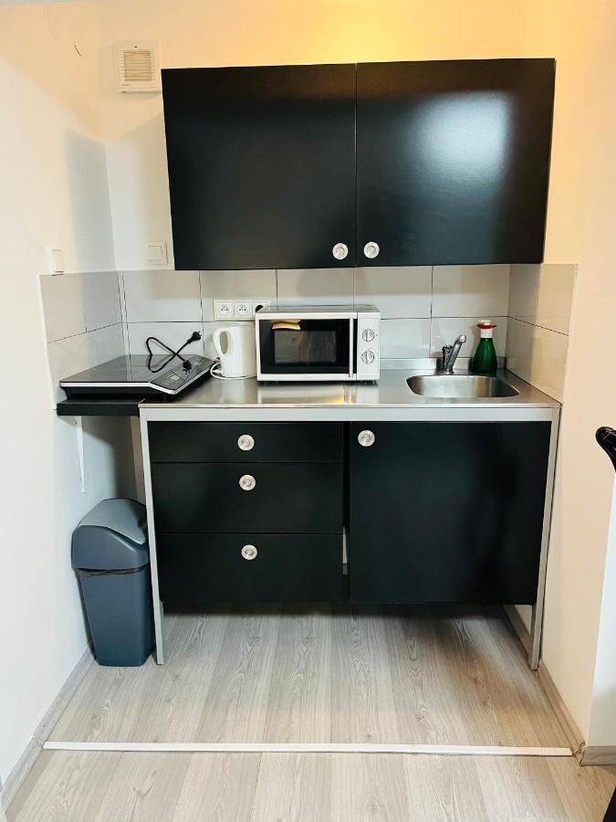 Apartmanek Patricie Room With Kitchenette Suitable For 2 Adults And 2 Children ミクロフ エクステリア 写真